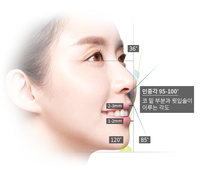가장매력적인e-line